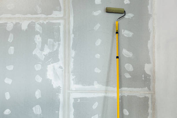 Best Mold Prevention Services  in Hamlin, WV