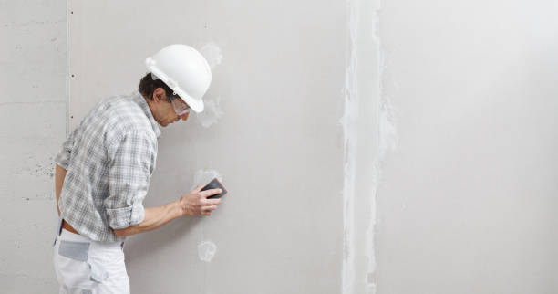 Best Environmental Consulting for Mold Prevention  in Hamlin, WV