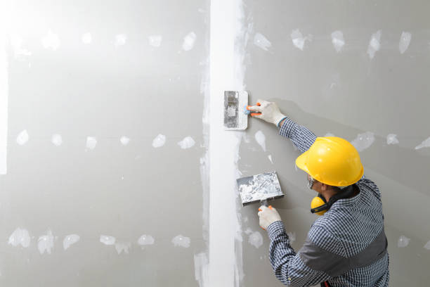 Best Mold Remediation for Vacation Homes  in Hamlin, WV