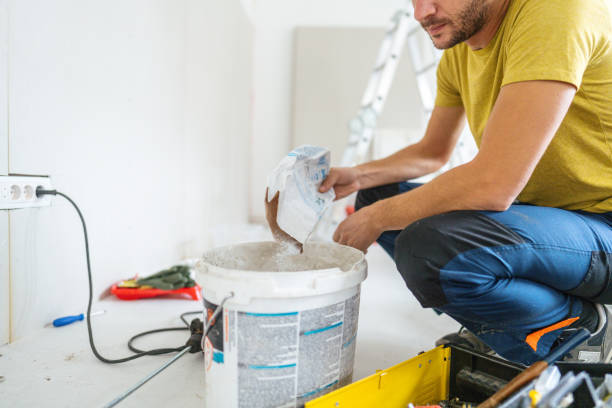Best Black Mold Removal  in Hamlin, WV
