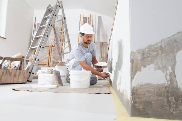 Best Mold Damage Restoration  in Hamlin, WV