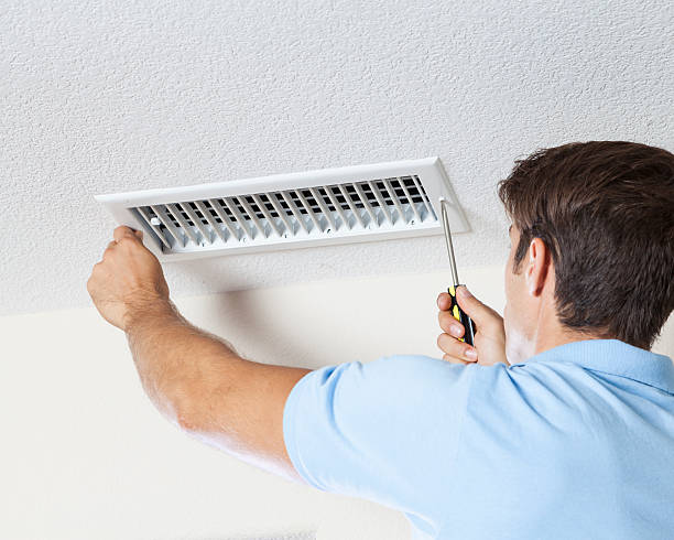 Best Mold Remediation for Healthcare Facilities  in Hamlin, WV