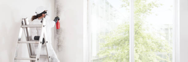 Mold Remediation for Vacation Homes in Hamlin, WV